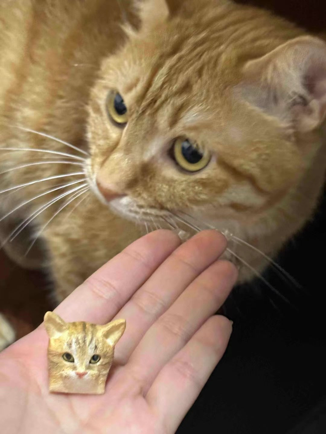 Artisan_Keycaps_for_Cats_and_Dogs_Customize_your_artisan_keycaps_2024