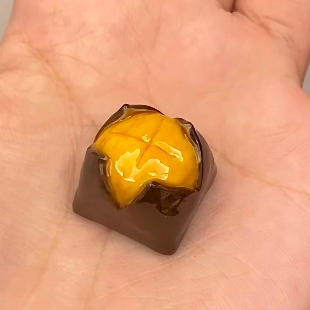 Chestnut Artisan keycap Custom food keycaps personalized aihey keycaps