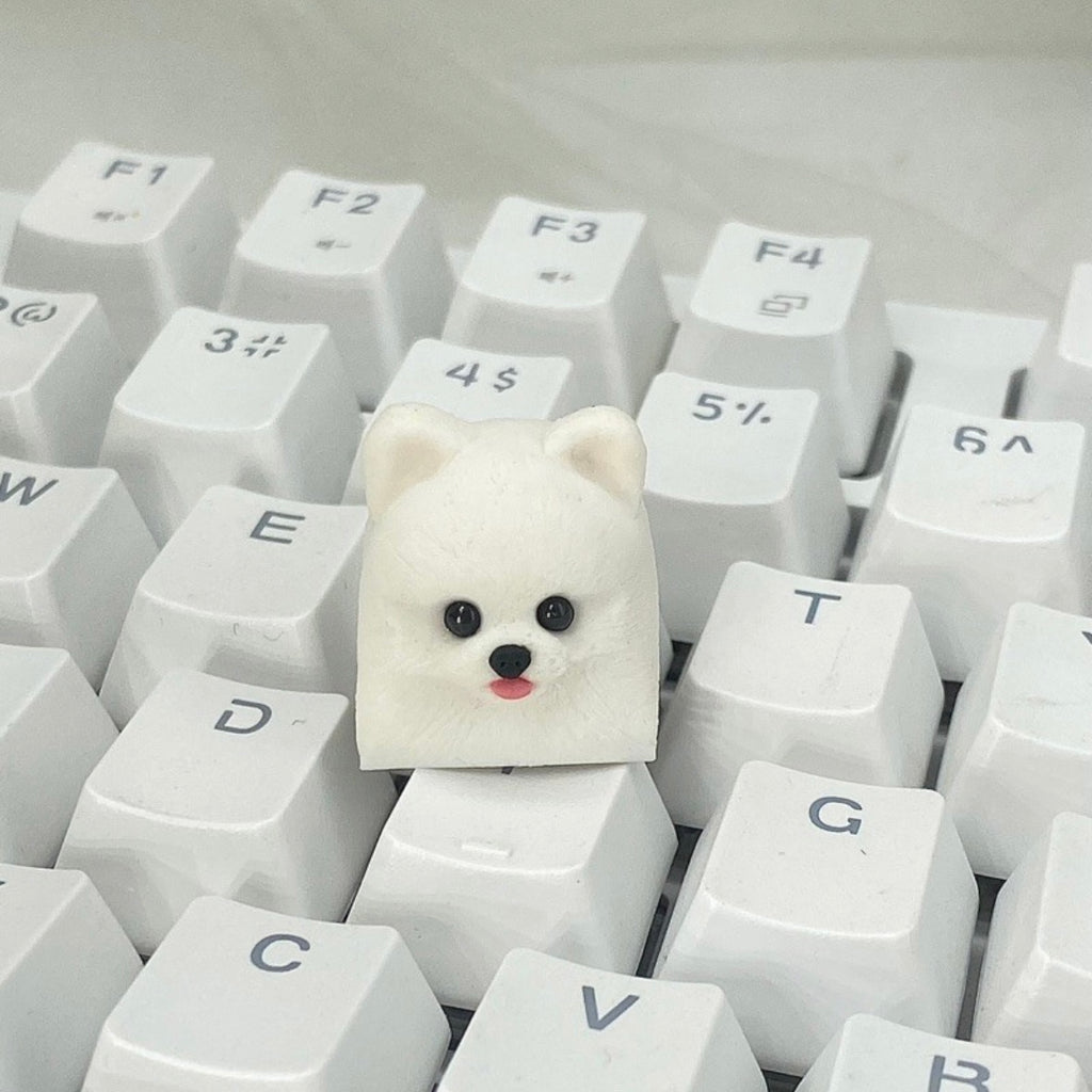 Personalized keycaps for pet lovers—AiheyStudio customizes artisan keycaps for cats, dogs, and special pets. Perfect for unique keyboard setups.
