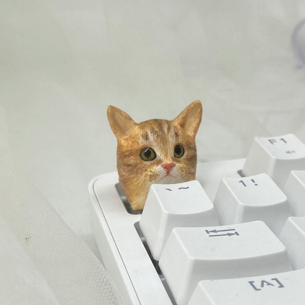 Artisan keycaps for cats and dogs, you can send us a picture of your pet and we customize the keycaps exclusively for you belonging to him, which can be used as a gift.