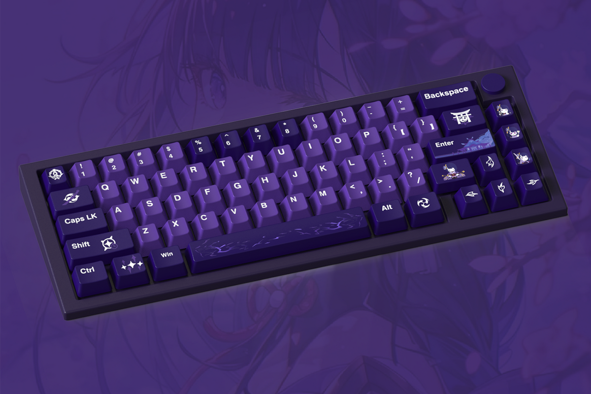 Raiden Shogun keycaps Set by Genshin Impact – AiheyStudio