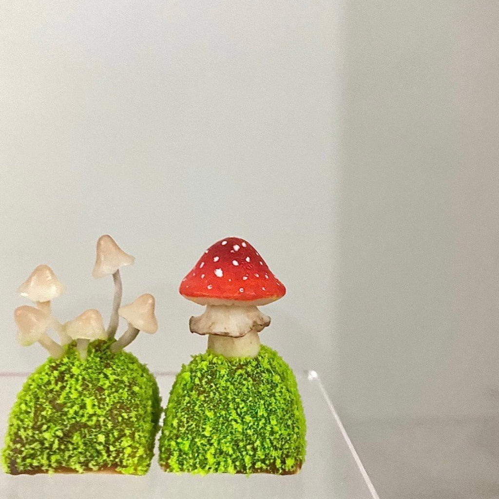 Handcrafted Mushroom Keycap Set  Step into a whimsical world with our Handmade Mushroom Keycap Set, where mushrooms thrive on a bed of lush moss, adding an enchanting touch to your keyboard.  Mystical Details:  Each keycap is a testament to craftsmanship, meticulously created to resemble the beauty of nature. These tiny mushrooms sprout from a bed of moss, making your keyboard a portal to a fairy tale realm.