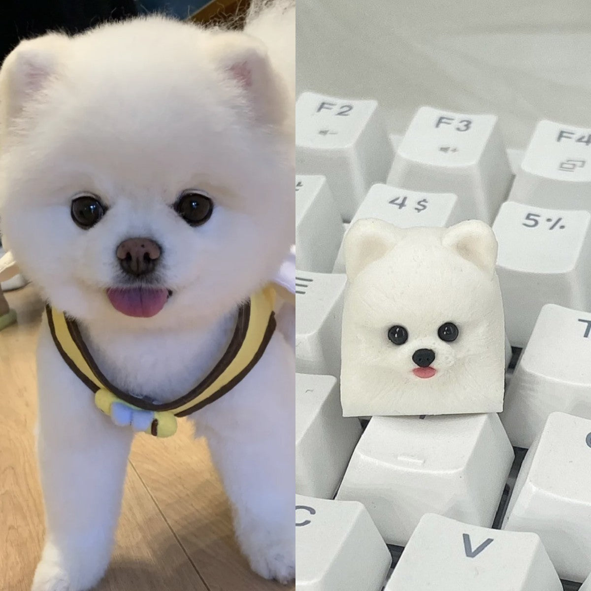 Your customized keycaps | Artisan Keycap | for pets – AiheyStudio